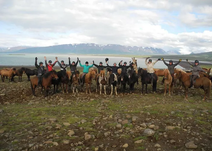 Icelandhorsetours - Helluland