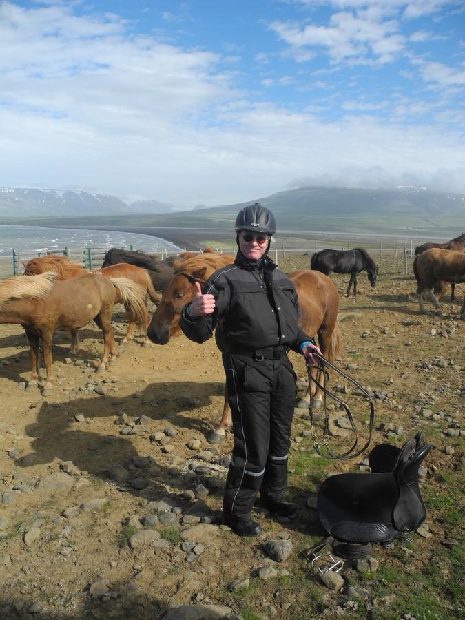 Icelandhorsetours - Helluland Farm stay *