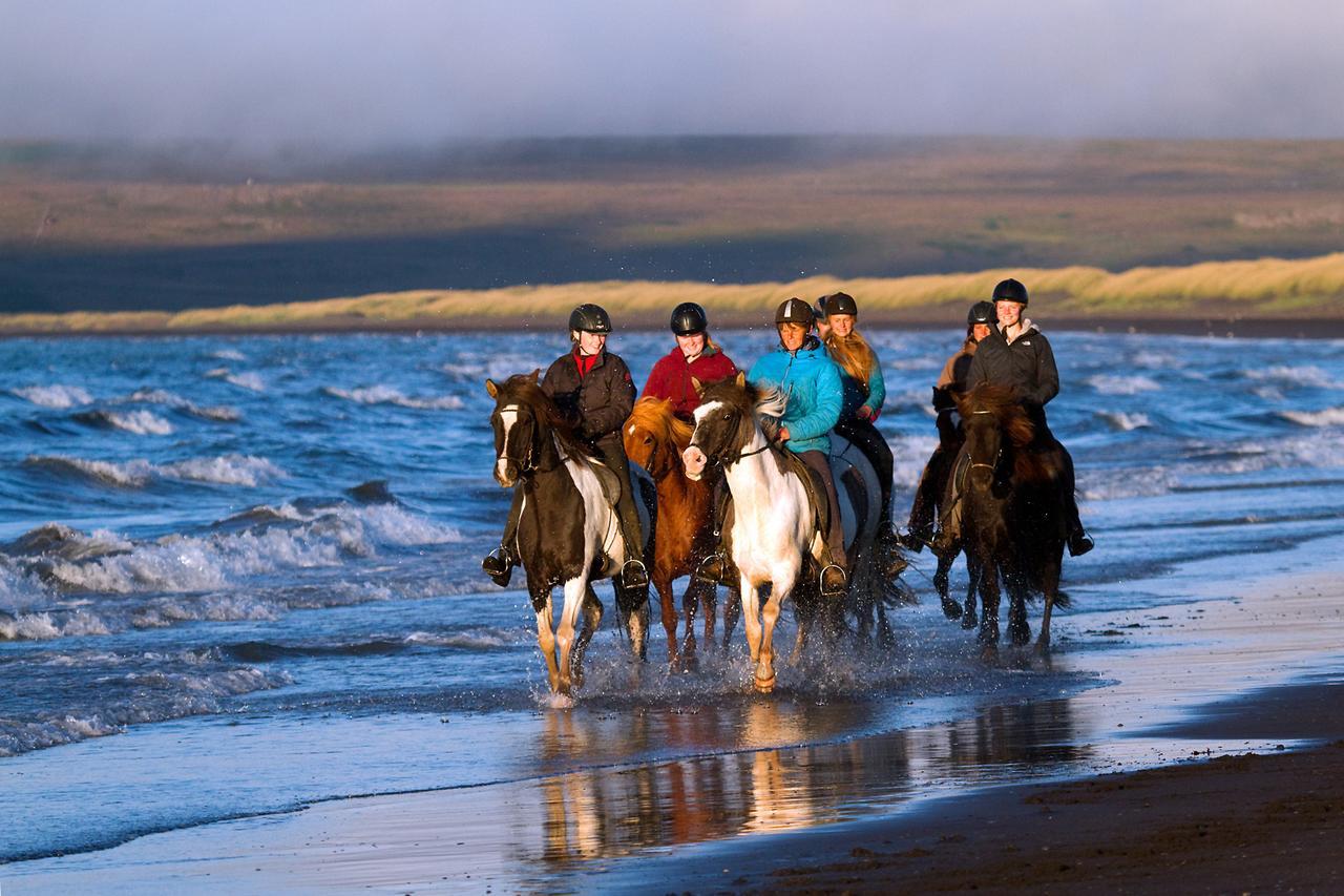 Icelandhorsetours - Helluland