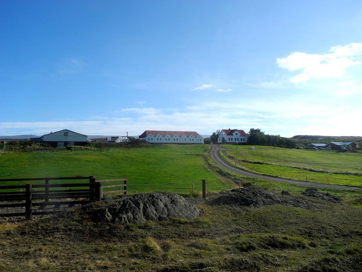 Icelandhorsetours - Helluland