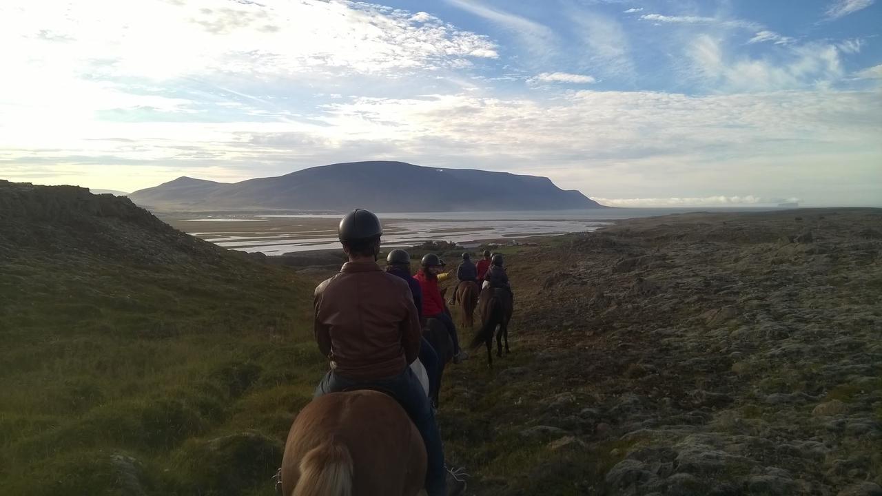 Farm stay Icelandhorsetours - Helluland *