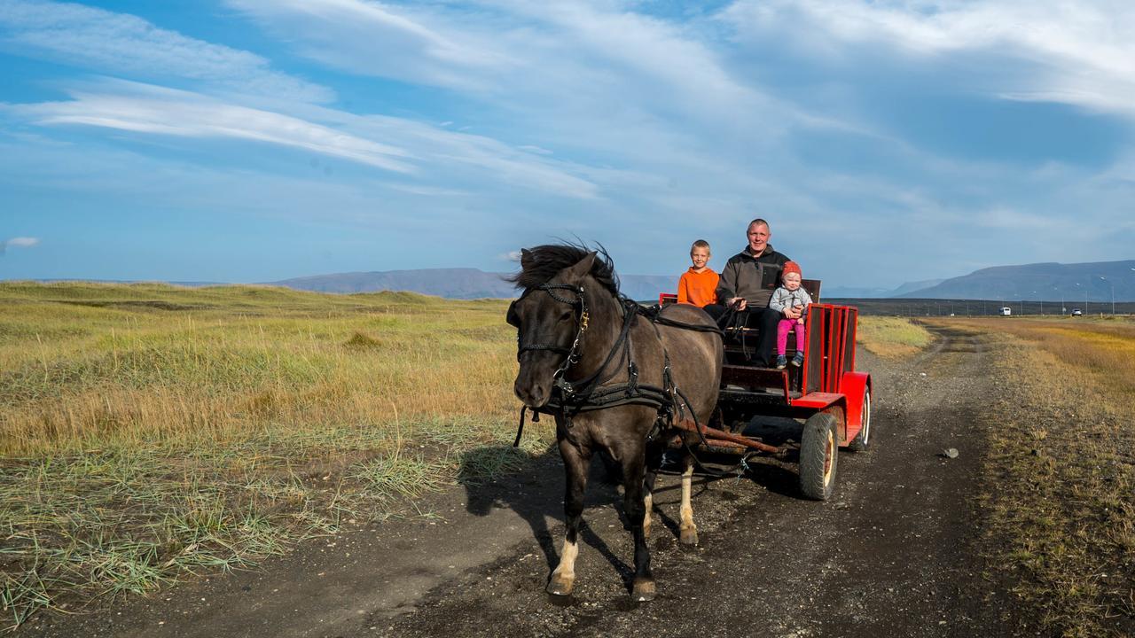 Icelandhorsetours - Helluland Farm stay *