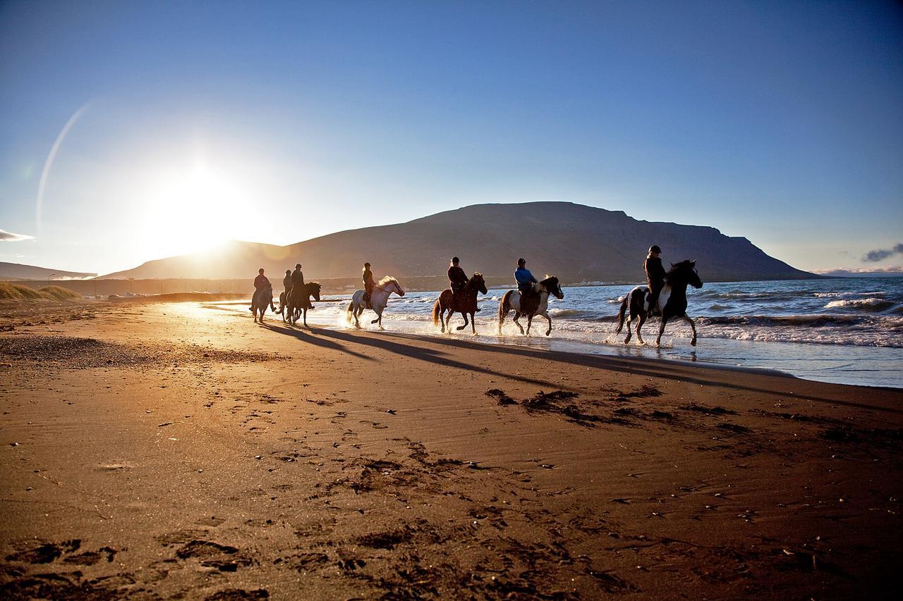 Icelandhorsetours - Helluland *