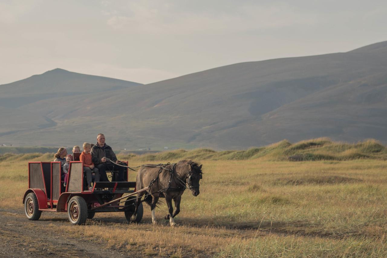 Icelandhorsetours - Helluland Farm stay
