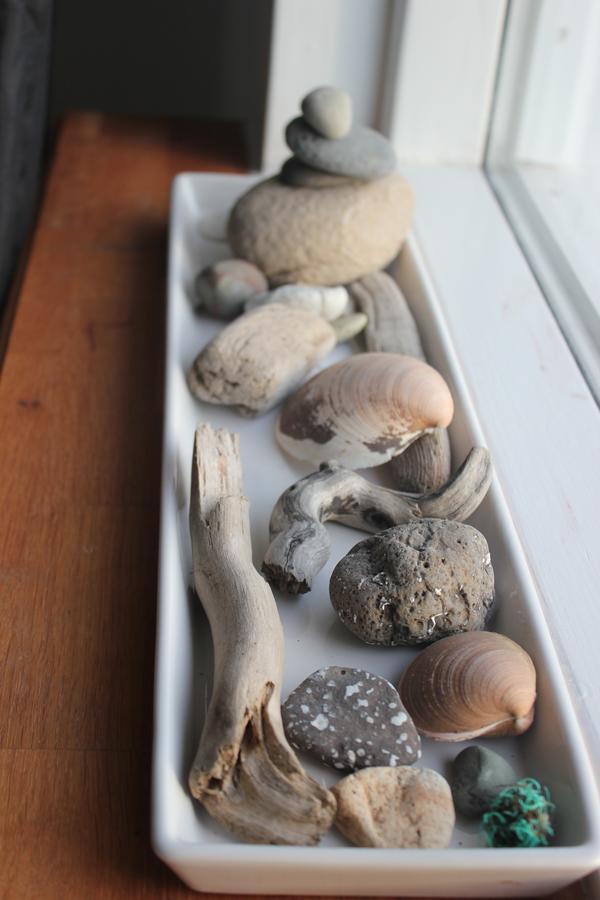 Icelandhorsetours - Helluland Farm stay Saudarkrokur