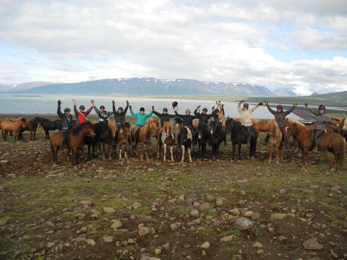 Icelandhorsetours - Helluland Farm stay